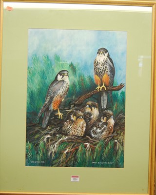 Lot 1004 - Reg Snook (b.1938) - Hobby falcon and young,...