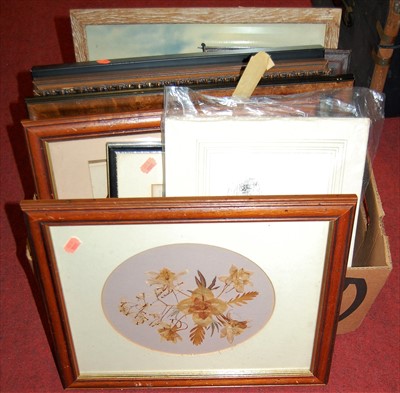 Lot 1076 - Assorted pictures, prints to include dried...