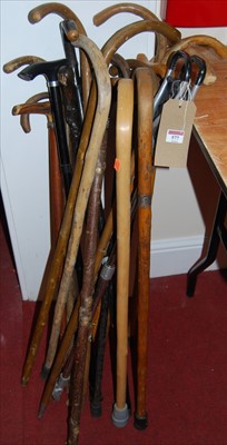 Lot 577 - A large collection of sundry walking sticks...