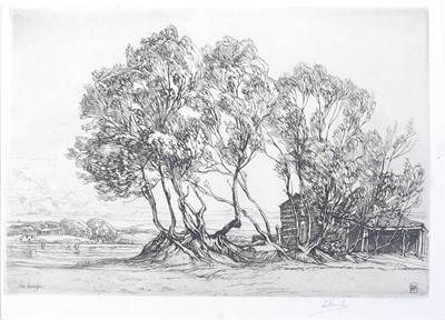 Lot 1383 - Fred Burridge (1869-1945) - Alder bushes,...