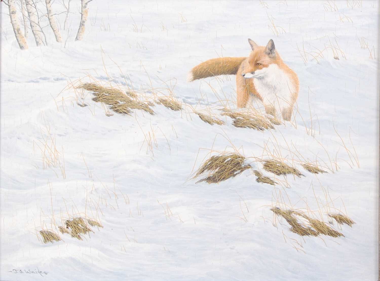 Lot 1370 - Jerry S. Waide (b.1948) - Fox in a winter...