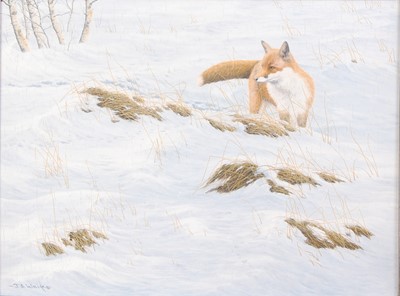 Lot 1370 - Jerry S. Waide (b.1948) - Fox in a winter...