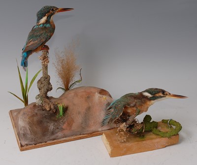 Lot 283 - A taxidermy Kingfisher (Alcedo atthis)
