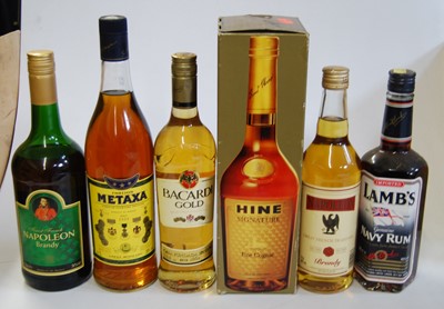 Lot 1308 - Assorted spirits, to include Hine Signature...
