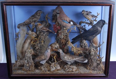 Lot 292 - An early 20th century taxidermy diorama to include
