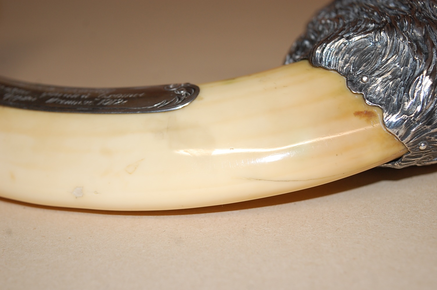 【b-18お値打ち処分】Wild boar's tusk /タンブル ターコイズ b-18お値打ち処分】Wild boar's tusk /タンブル ターコイズ