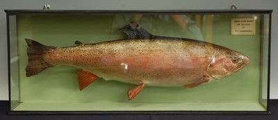 Lot 272 - A mid-20th century taxidermy Rainbow Trout...