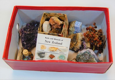 Lot 263 - A collection of rocks, minerals and fossils,...