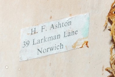 Lot 535 - * An early 20th century Old Dutch Capuchine...