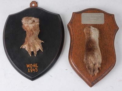 Lot 555 - * A mid-20th century taxidermy Otter (Lutra...
