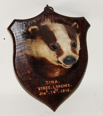 Lot 570 - * An early 20th century taxidermy Badger...