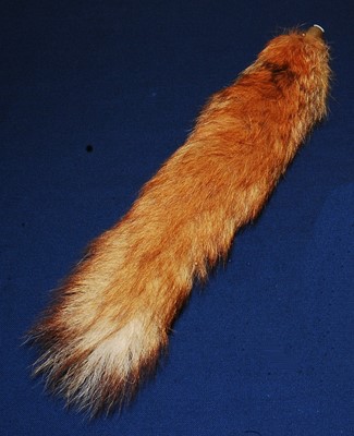 Lot 580 - * A taxidermy Fox (Vulpes vulpes) brush on...