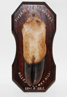 Lot 588 - * An early 20th century taxidermy Deer slot,...