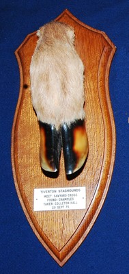 Lot 586 - * A 20th century taxidermy Deer slot, mounted...