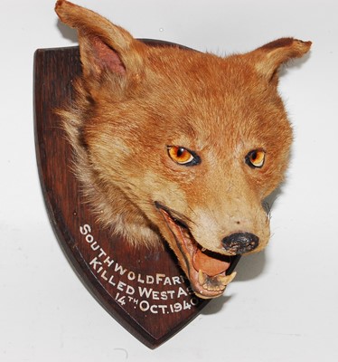 Lot 618 - * A mid-20th century taxidermy Fox (Vulpes...