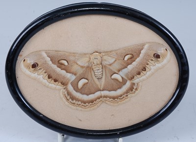 Lot 748 - * Lepidopterology, a Victorian Cecropia moth...