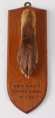 Lot 629 - * A mid-20th century taxidermy Fox (Vulpes...