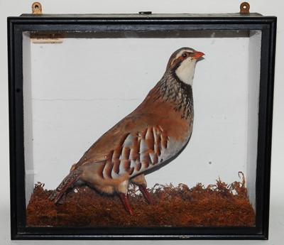 Lot 651 - * An early 20th century taxidermy Red-legged...