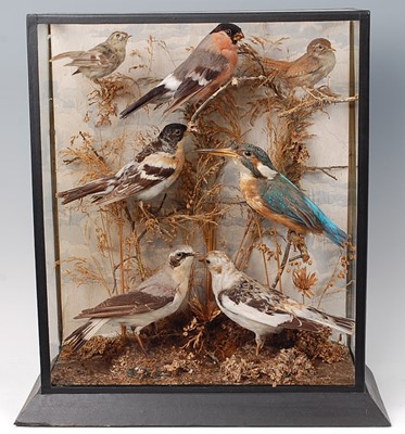 Lot 660 - * A Victorian taxidermy group of seven British...
