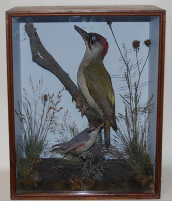 Lot 728 - * A late Victorian taxidermy Green Woodpecker...