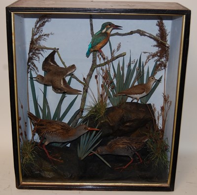 Lot 729 - * A circa 1900 taxidermy group of birds to...