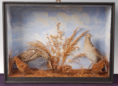 Lot 733 - * A pair of taxidermy Woodcock (Scolopax) with...