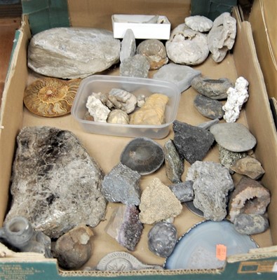 Lot 50 - A box containing assorted geodes, rock crystal...