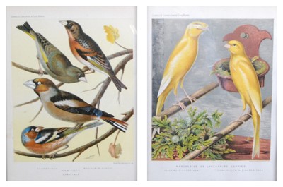 Lot 1390 - A set of twelve 19th century coloured prints...