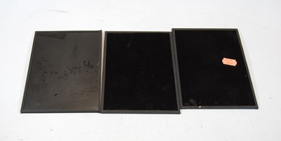 Lot 354 - Three modern glass photographic plates, being...