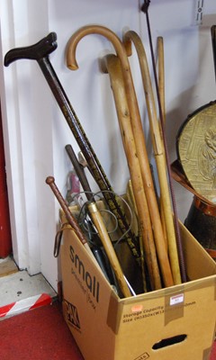 Lot 81 - A collection of various walking sticks, a...