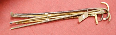 Lot 163 - A collection of six various walking canes
