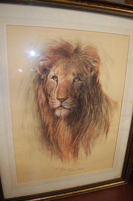 Lot 1028 - Spencer Roberts - Bengal Tiger, pastel, signed...
