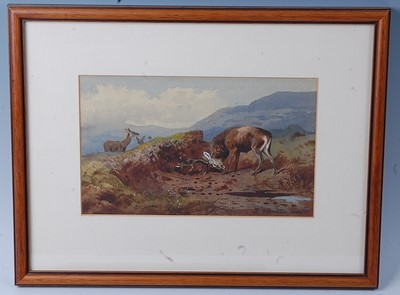 Lot 482 - Archibald Thorburn (1860-1935), Stag within a...
