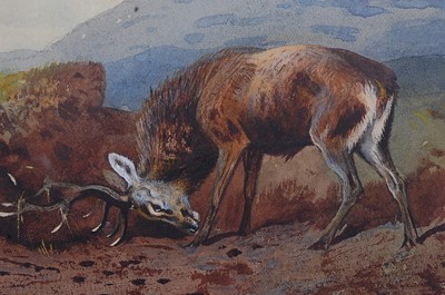 Lot 482 - Archibald Thorburn (1860-1935), Stag within a...