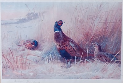 Lot 484 - After Archibald Thorburn, (1860-1935),...