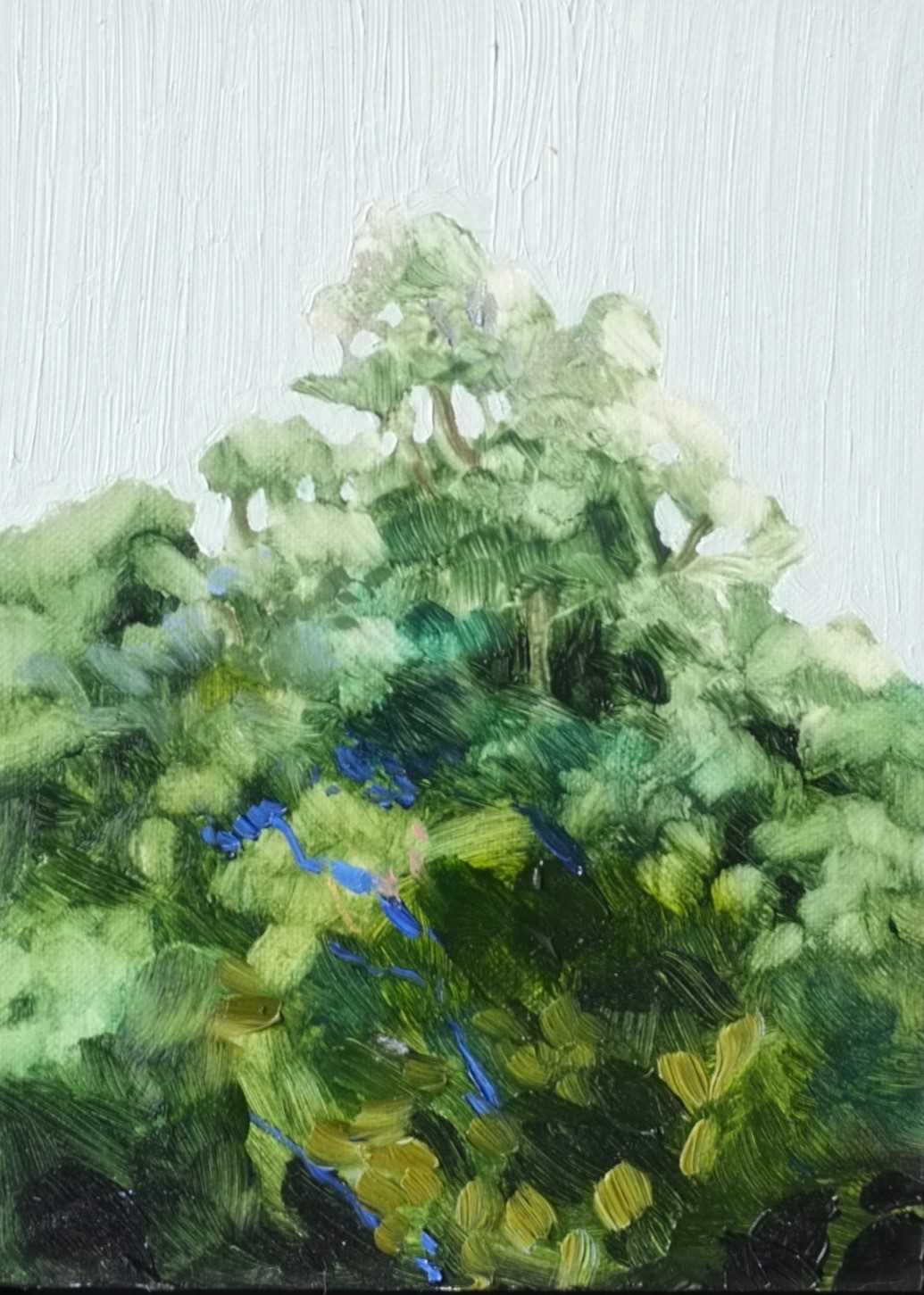Lot 55 - Jelly Green Painting The Canopy 14 Jelly Green,...