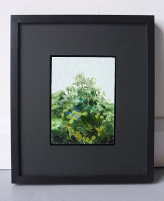 Lot 55 - Jelly Green Painting The Canopy 14 Jelly Green,...