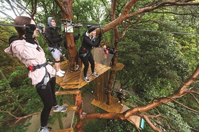 Lot 102 - GoApe Outdoor Corporate Team Adventure Day for...