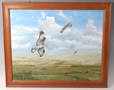 Lot 490 - Steve Cale (20th century), Honey Buzzards over...