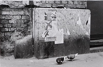 Lot 265 - Christopher Pert - Pigeons and election poster,...