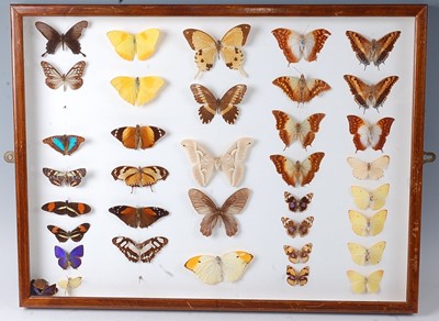 Lot 751 - Lepidopterology, a collection of thirty seven...