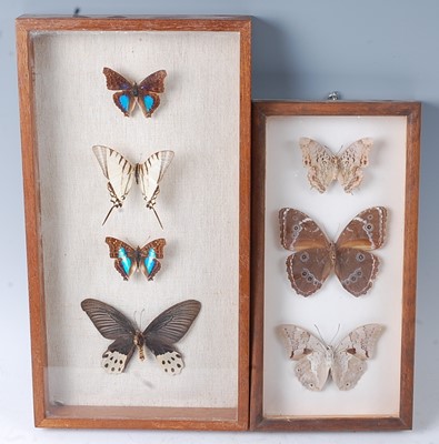 Lot 752 - Lepidopterology, a collection of sixty three...