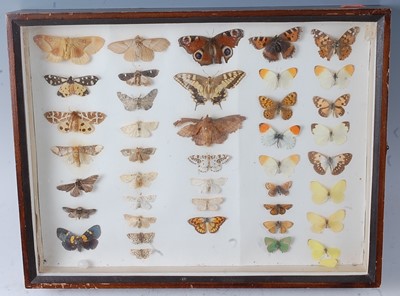 Lot 754 - Lepidopterology, a collection on various...