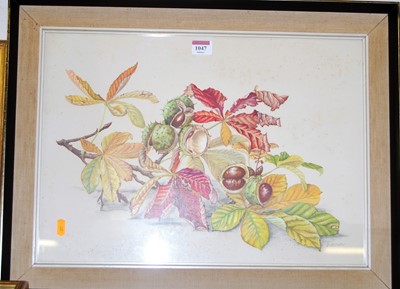 Lot 1047 - D Bovey - Conkers and chestnut leaves,...