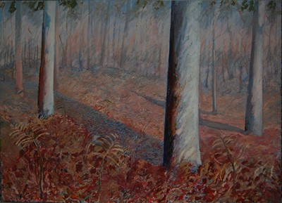 Lot 321 - Lyndsey Poy (Australian) - Salmon gums, large...