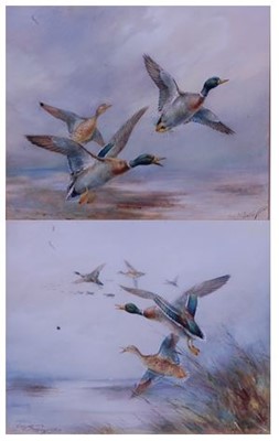 Lot 2585 - William E. Powell, (1878-1955), Ducks in...