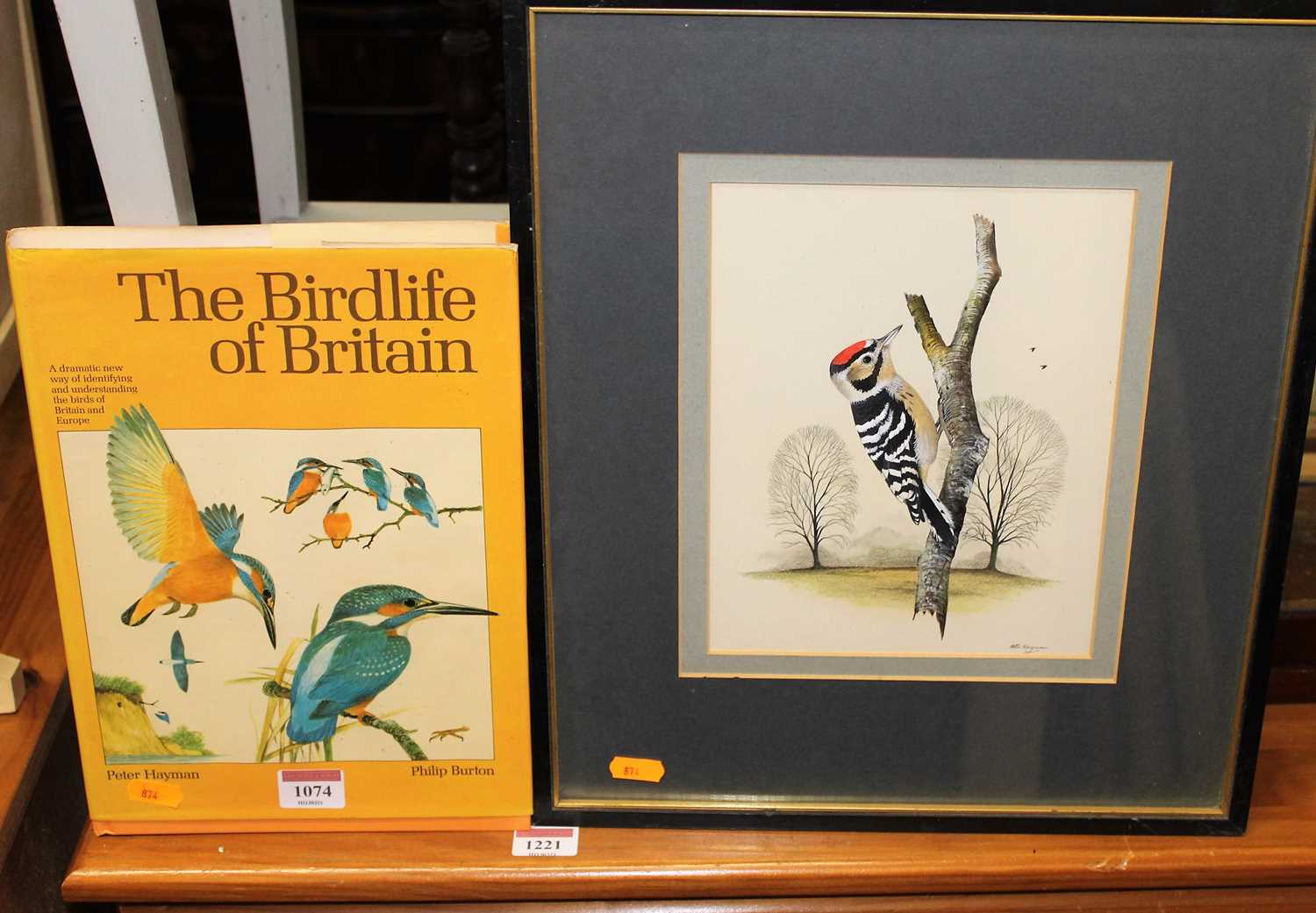 Lot 1074 - Peter Hayman (b.1930) - Bird study, gouache,...