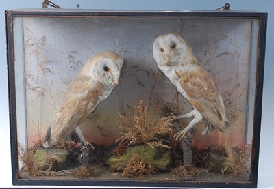 Lot 2706 - A brace of early 20th century taxidermy Barn...