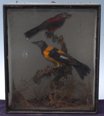 Lot 2710 - A pair of early 20th century Red and Golden...