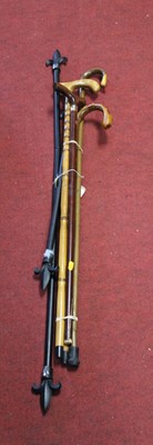 Lot 174 - A collection of various walking sticks;...